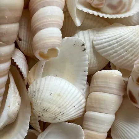 La Severino - - Les Issambres - Meuble De Tourisme 3 Etoiles Ferienhaus La Garonnette-Plage