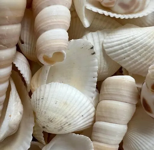 La Severino - - Les Issambres - Meuble De Tourisme 3 Etoiles بيت للعطل La Garonnette-Plage